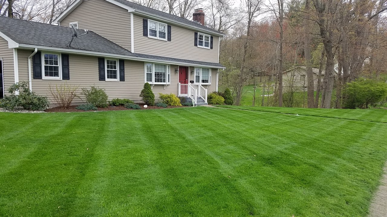 20190501_143024.jpg