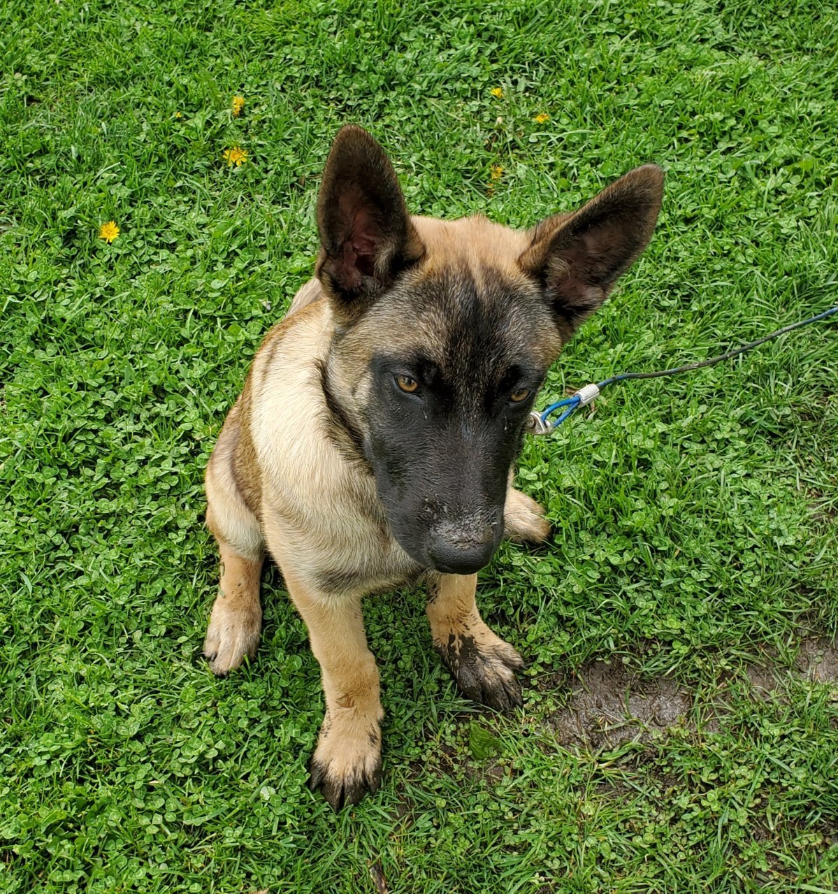 20190502_192710.jpg