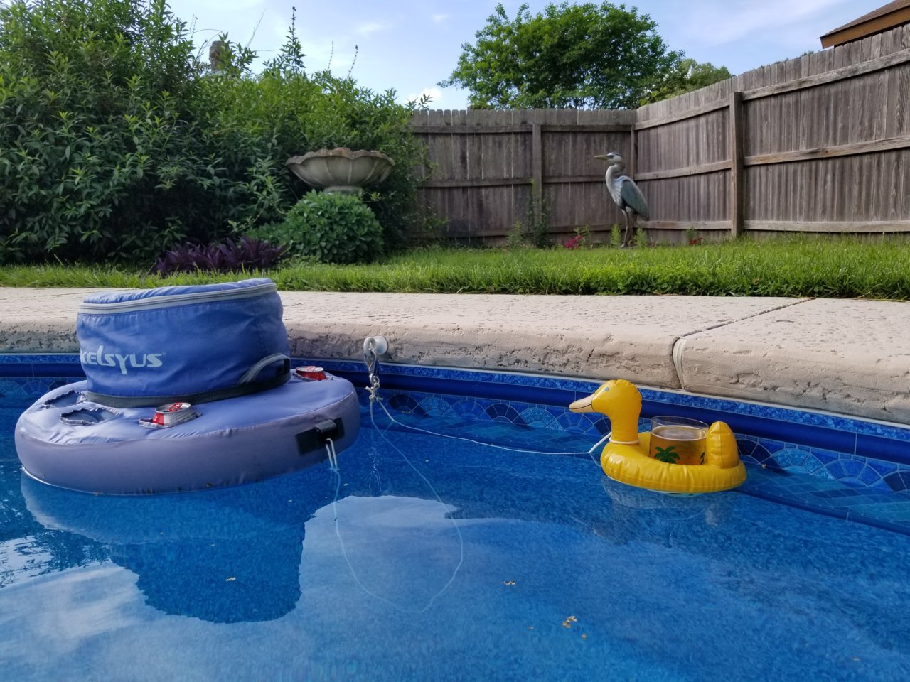 20190503_171611.jpg