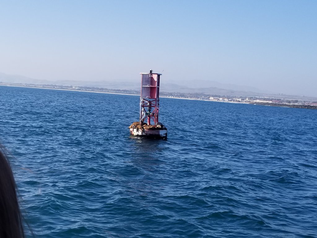 20190503_171955.jpg