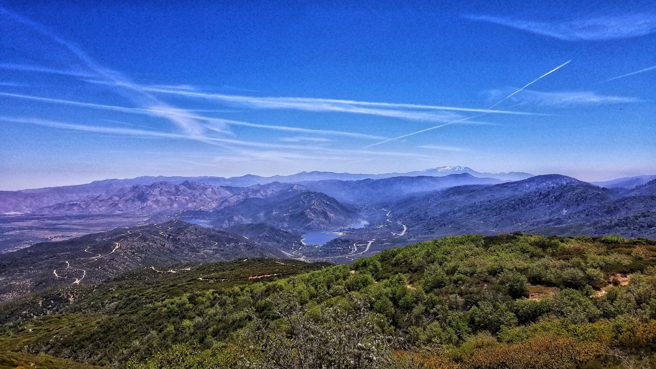 20190504_115556-01.jpg