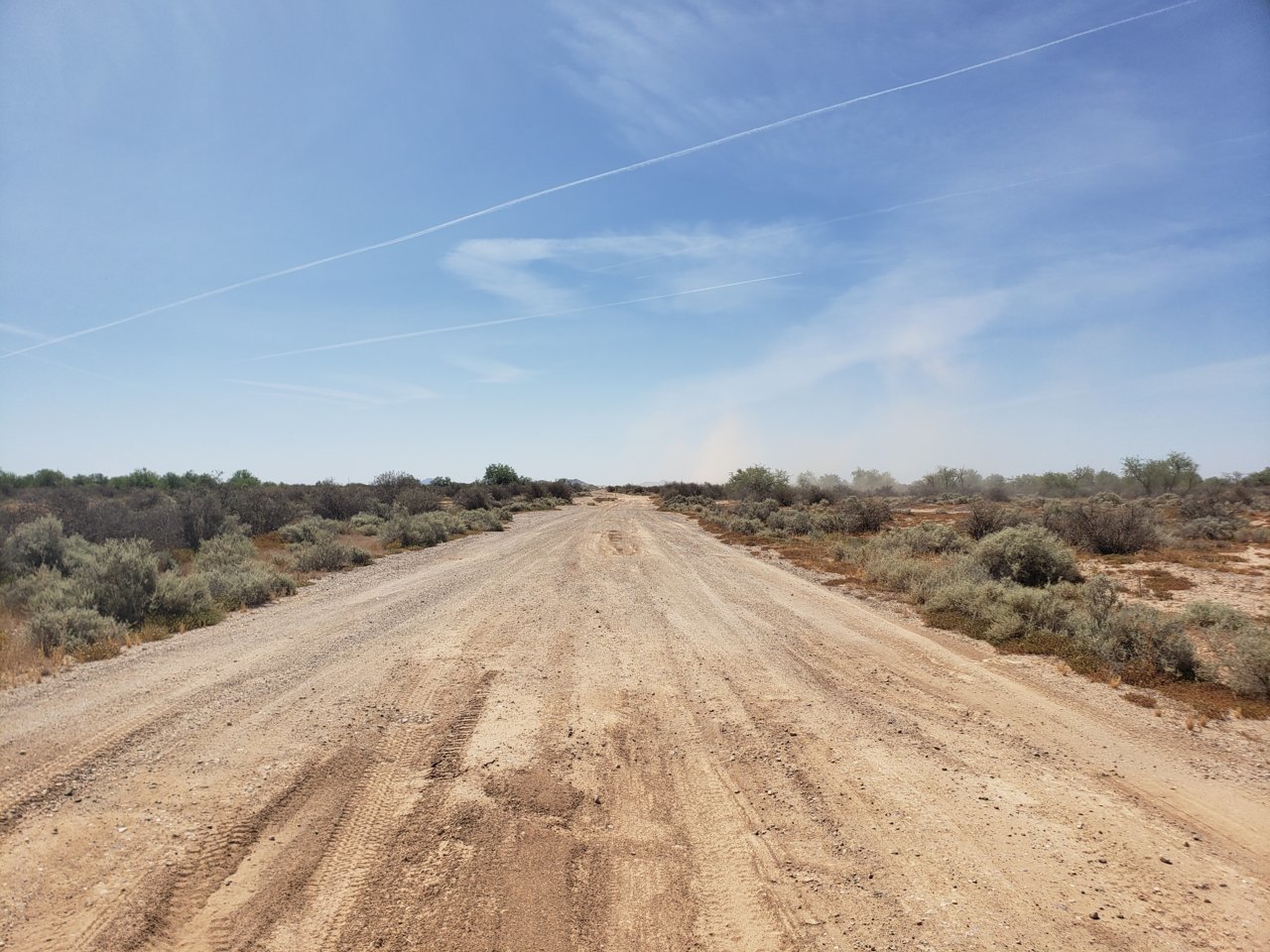 20190505_103156.jpg