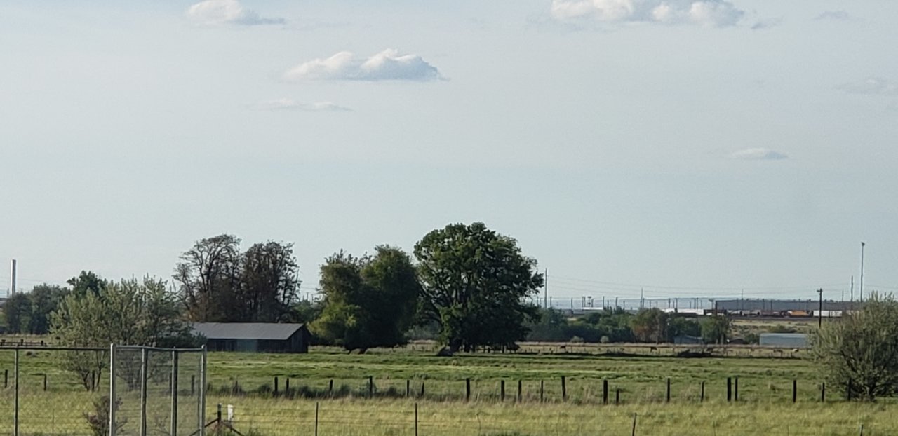 20190505_201409.jpg