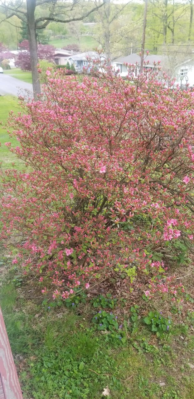 20190509_084134.jpg
