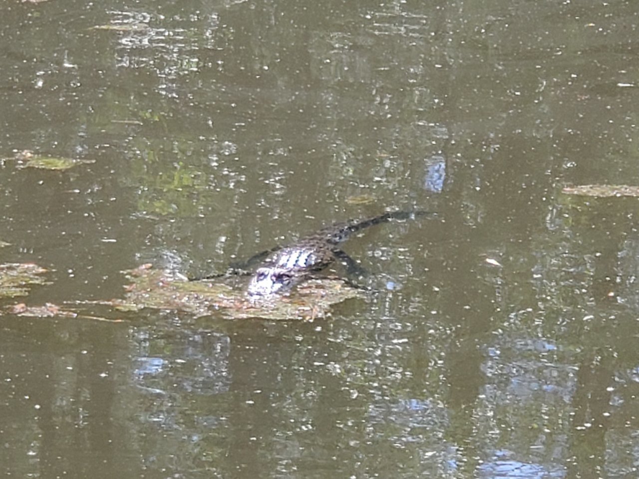 20190513_160835.jpg