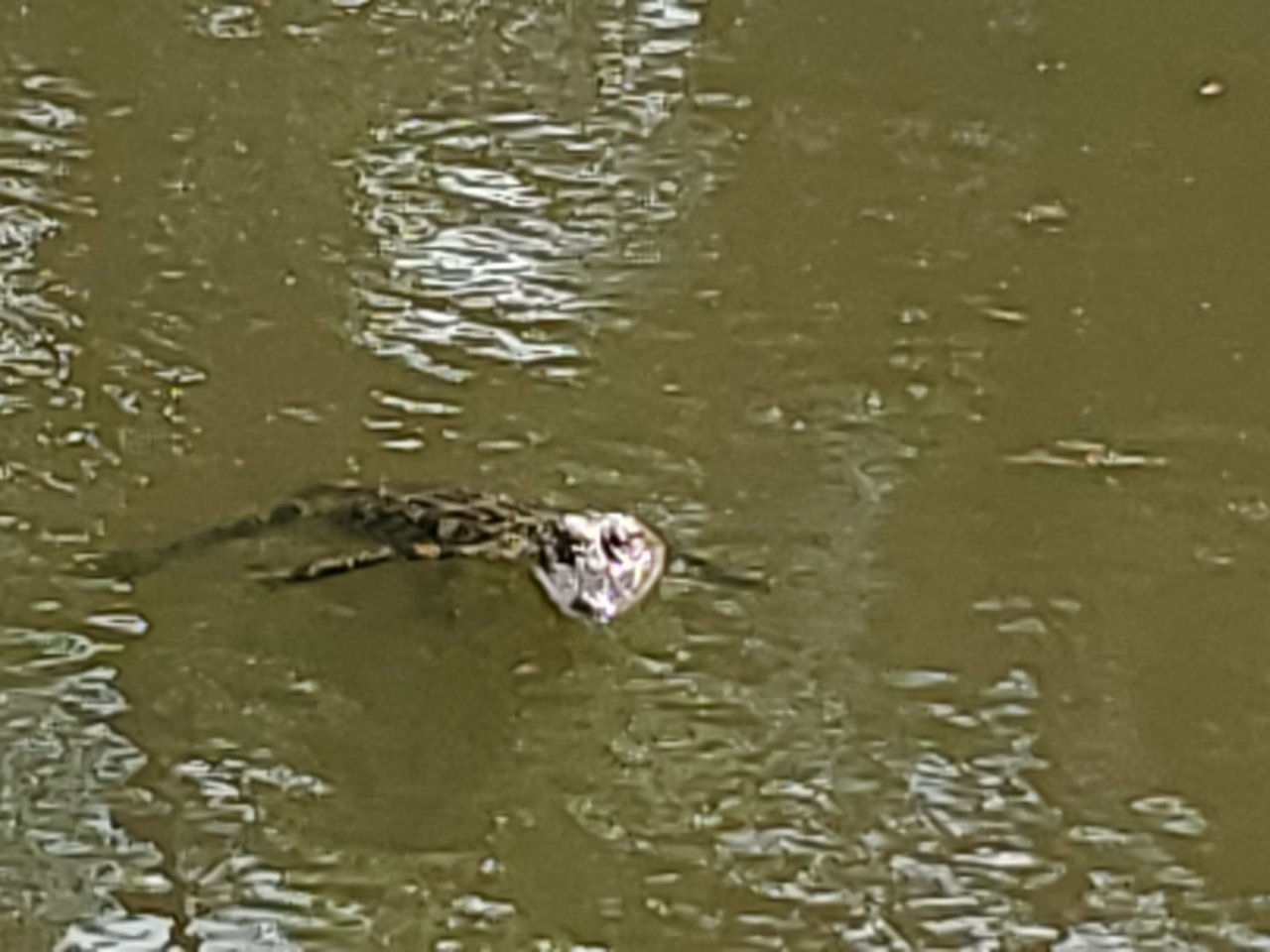 20190513_161014.jpg