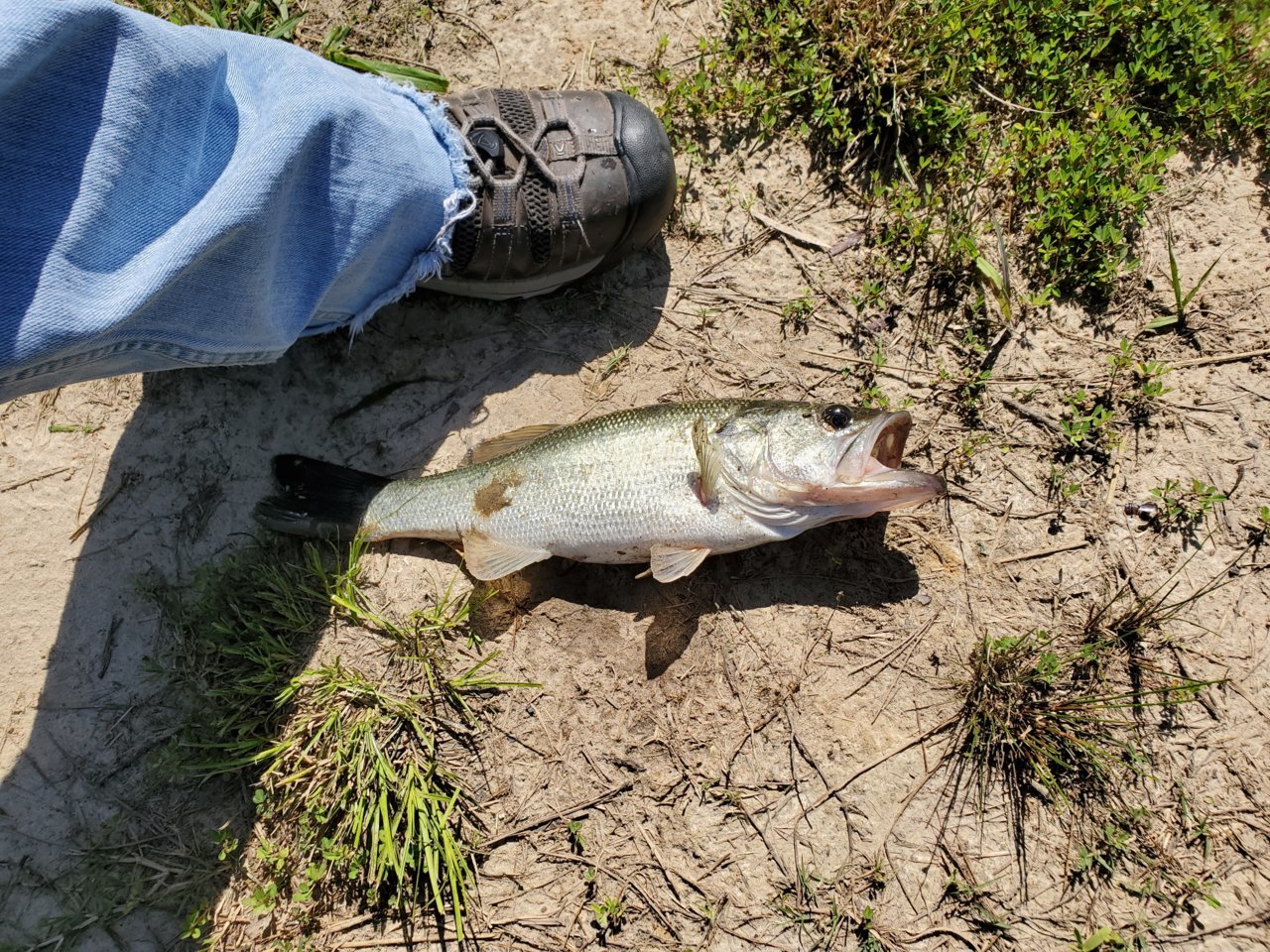 20190514_161439.jpg