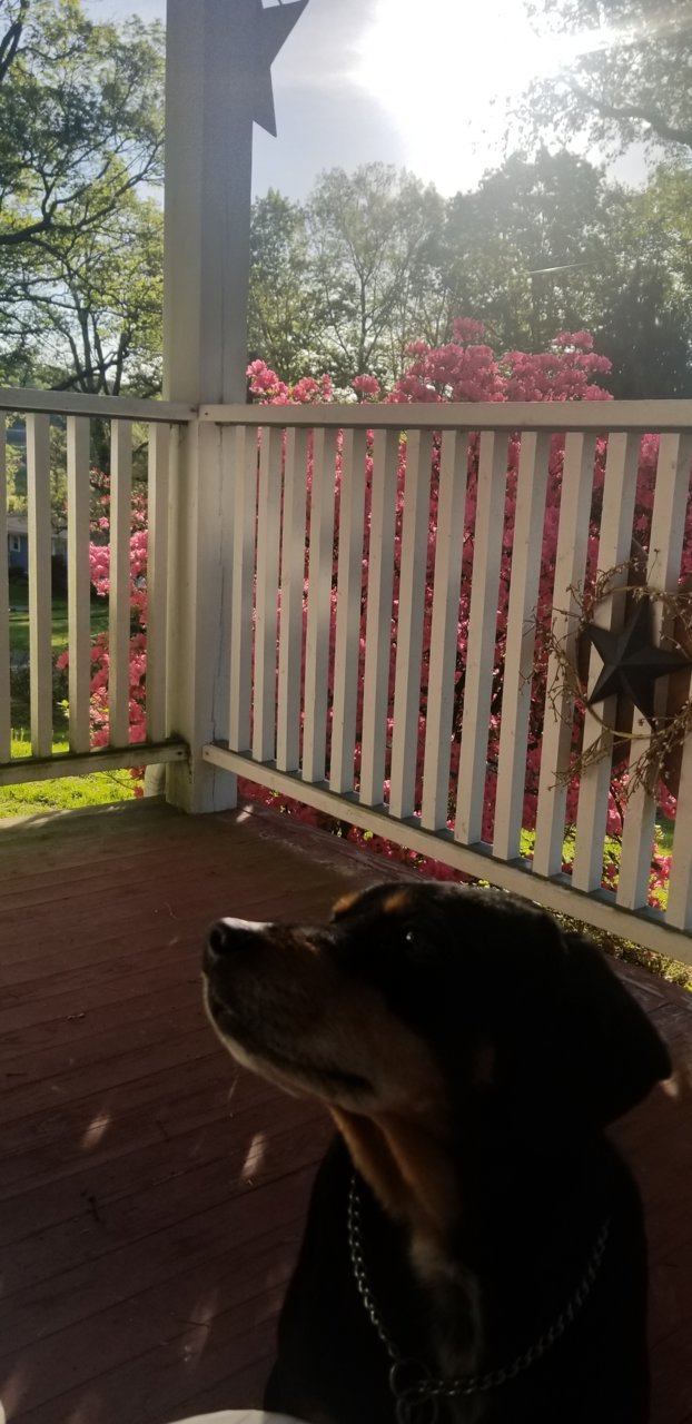 20190518_072908.jpg