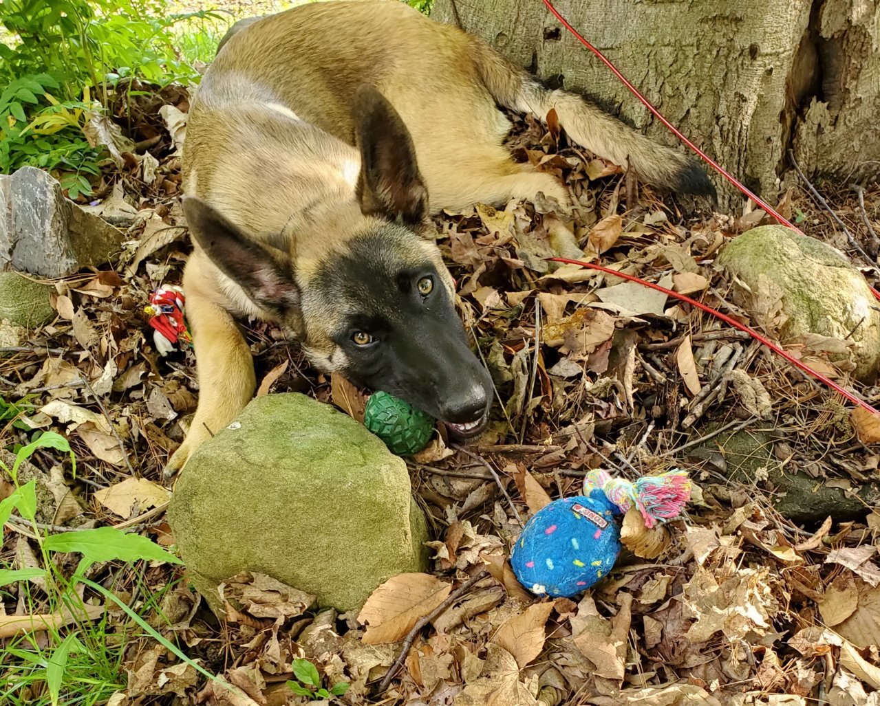 20190518_173104.jpg