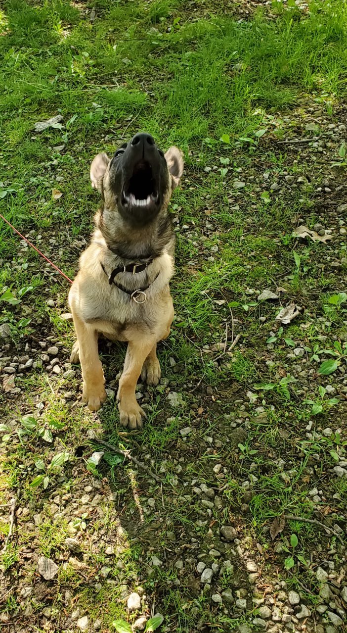 20190518_174958.jpg