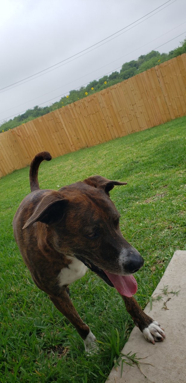 20190519_082719.jpg