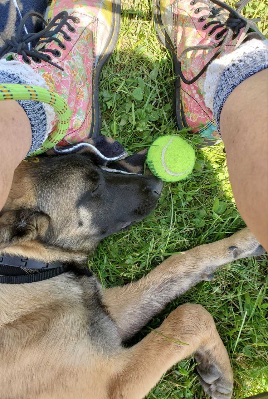 20190519_161905.jpg