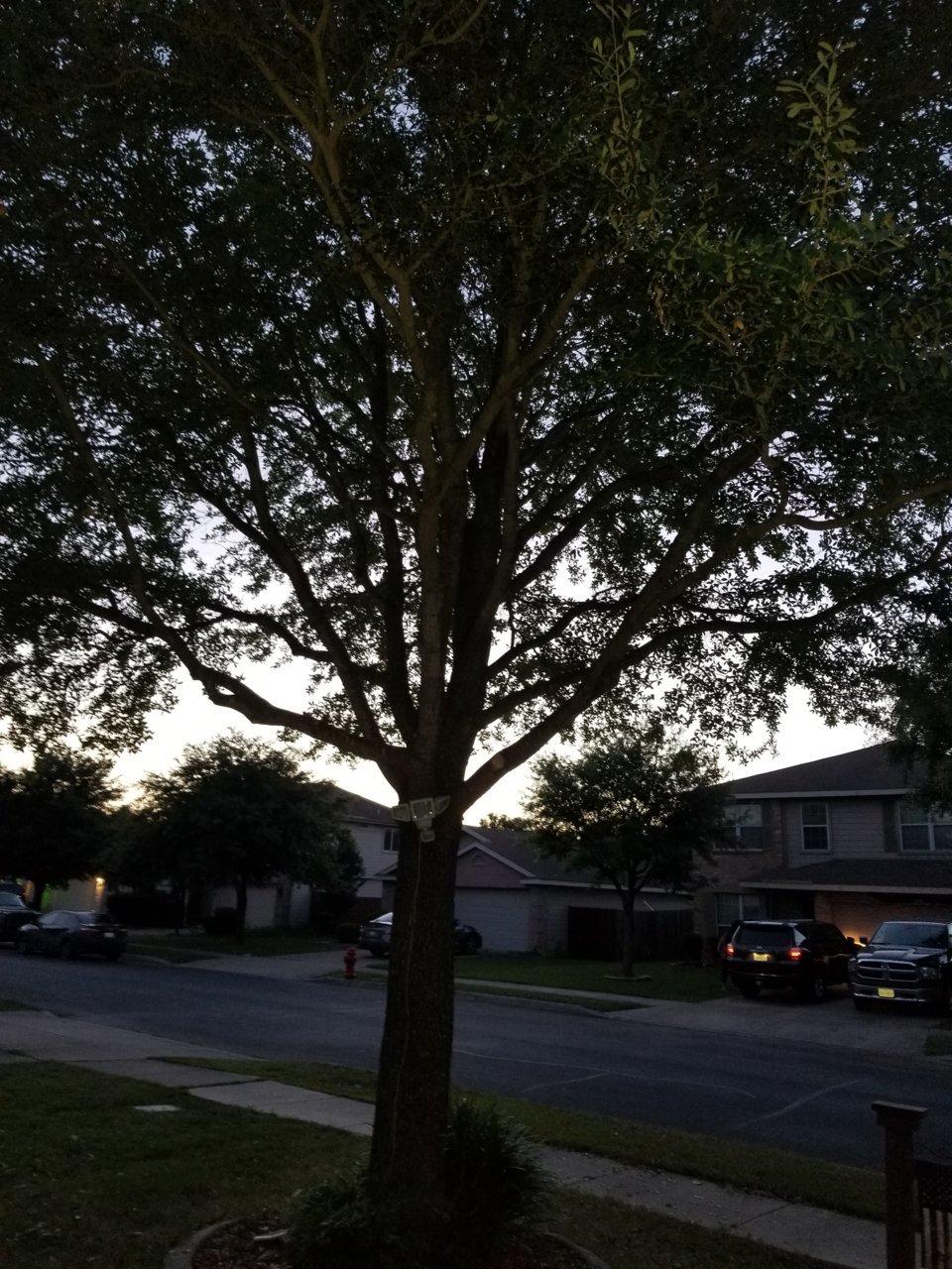 20190521_203804.jpg