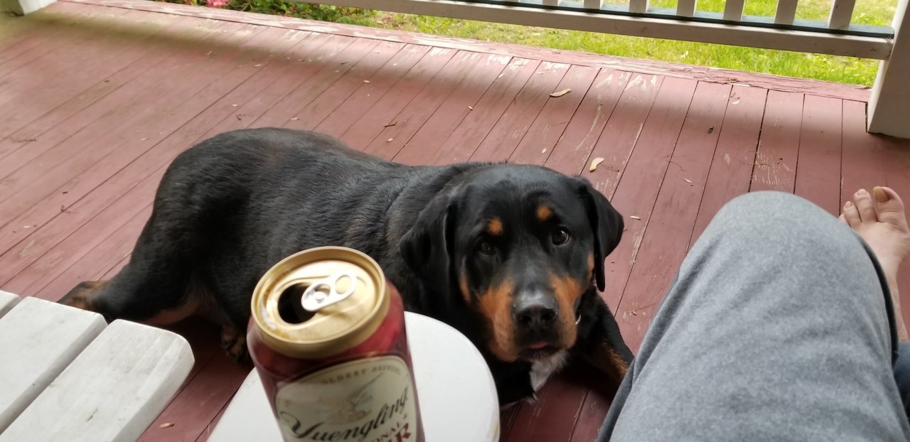 20190522_194444.jpg