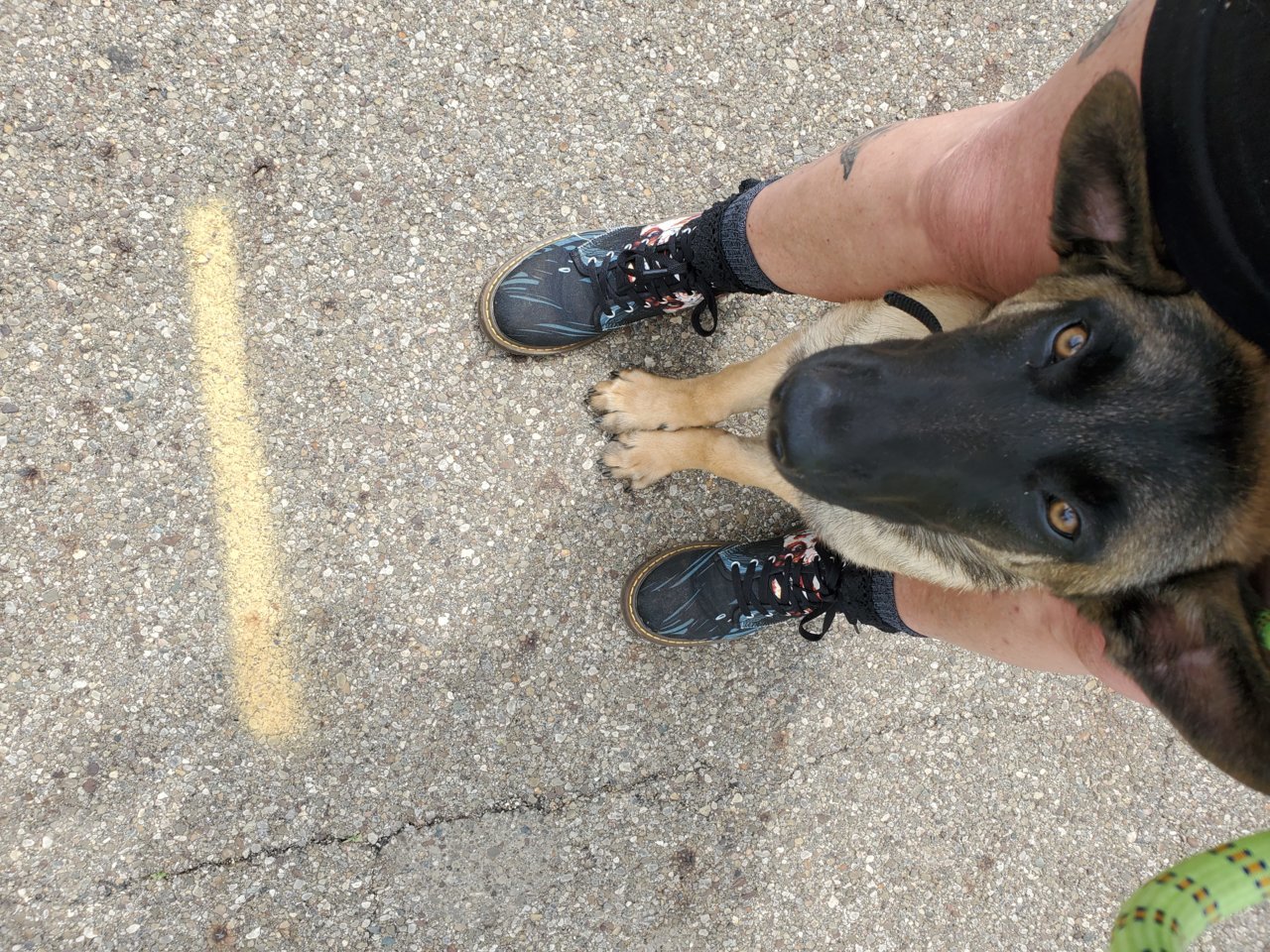 20190523_143155.jpg