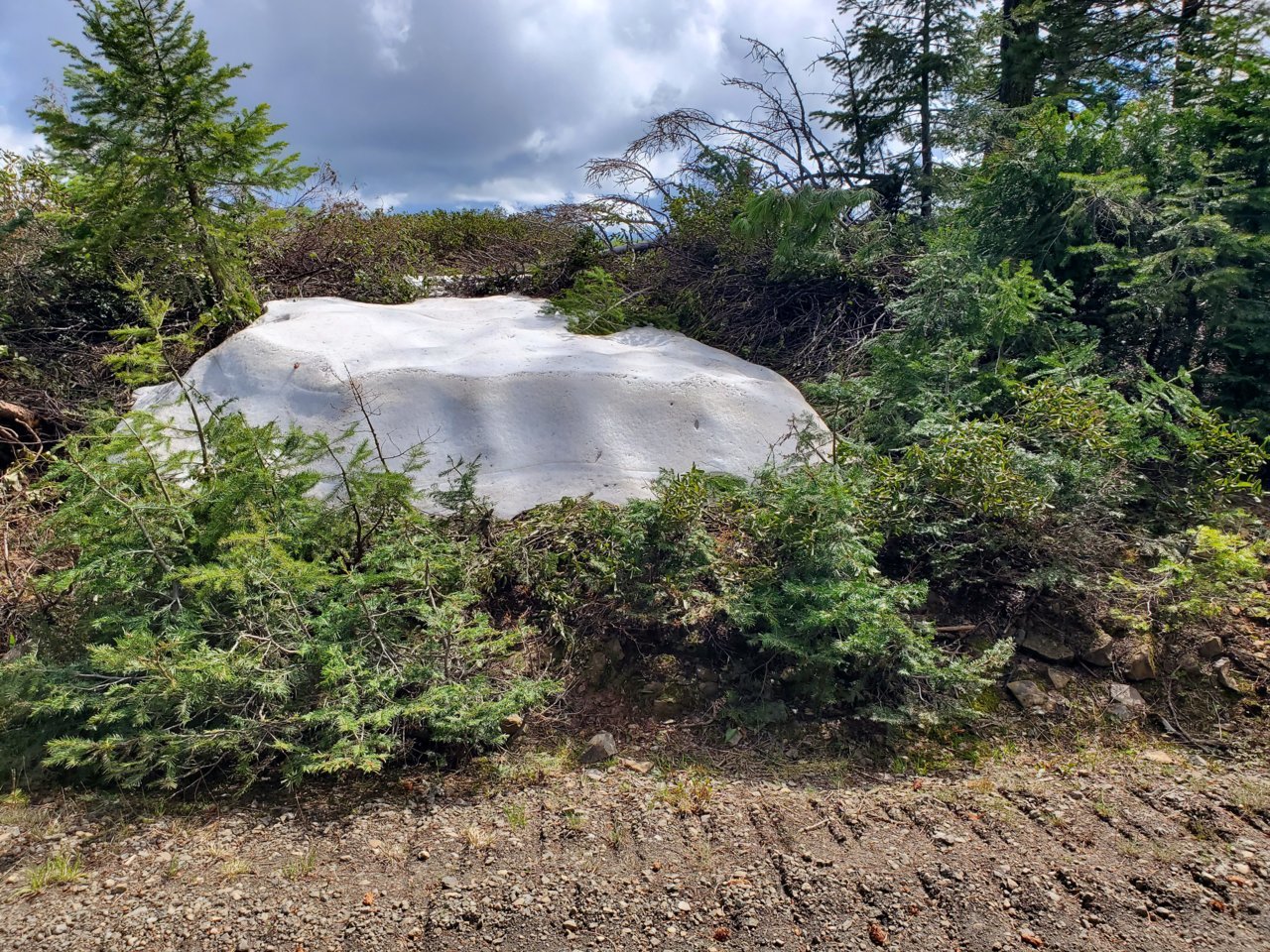 20190525_150946.jpg