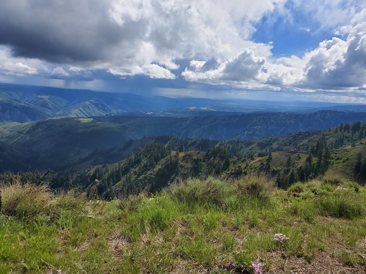 20190525_151239.jpg