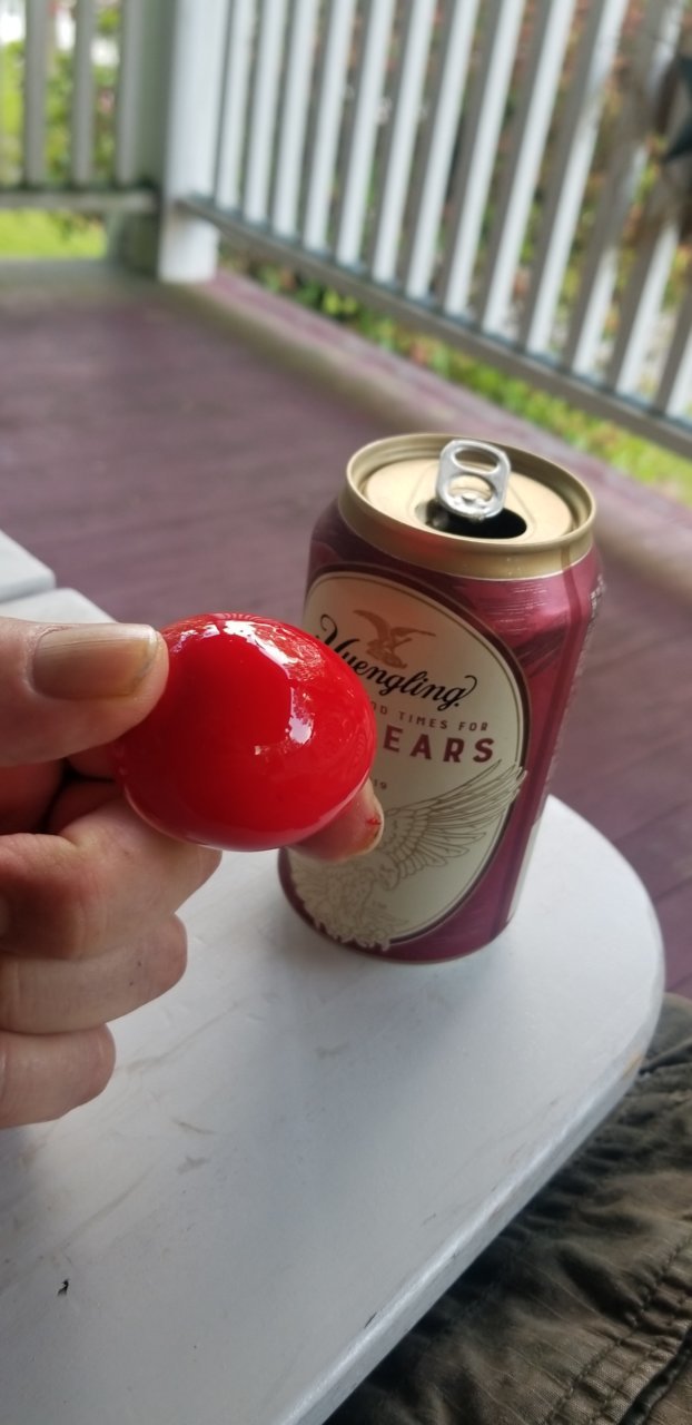 20190525_153146.jpg