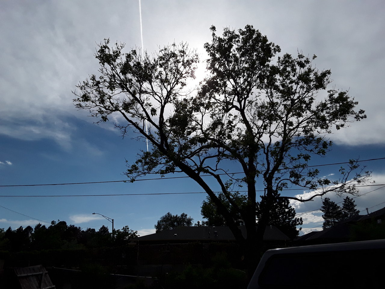20190602_171146.jpg