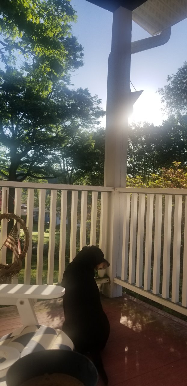 20190604_065950.jpg