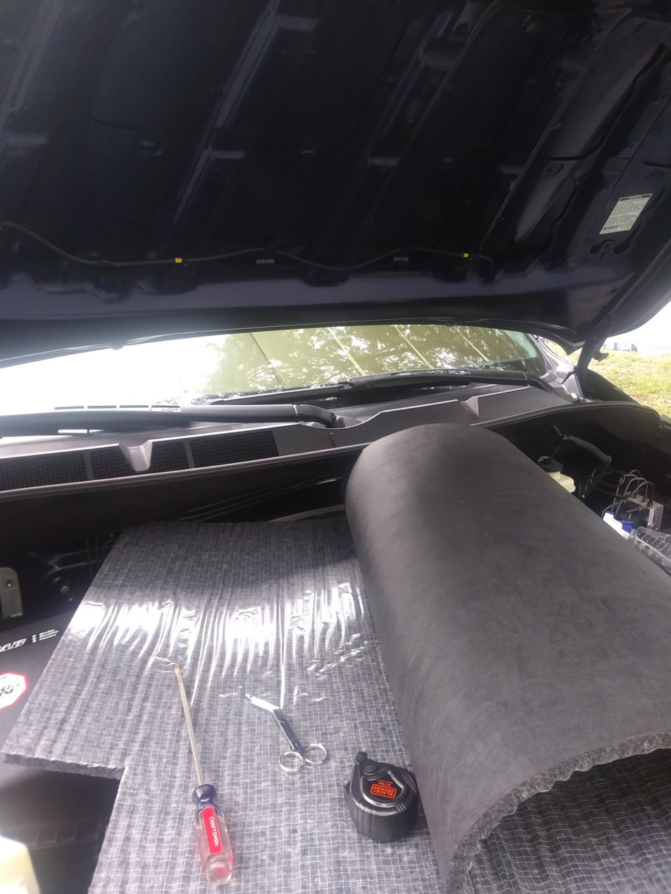 20190606_165617.jpg