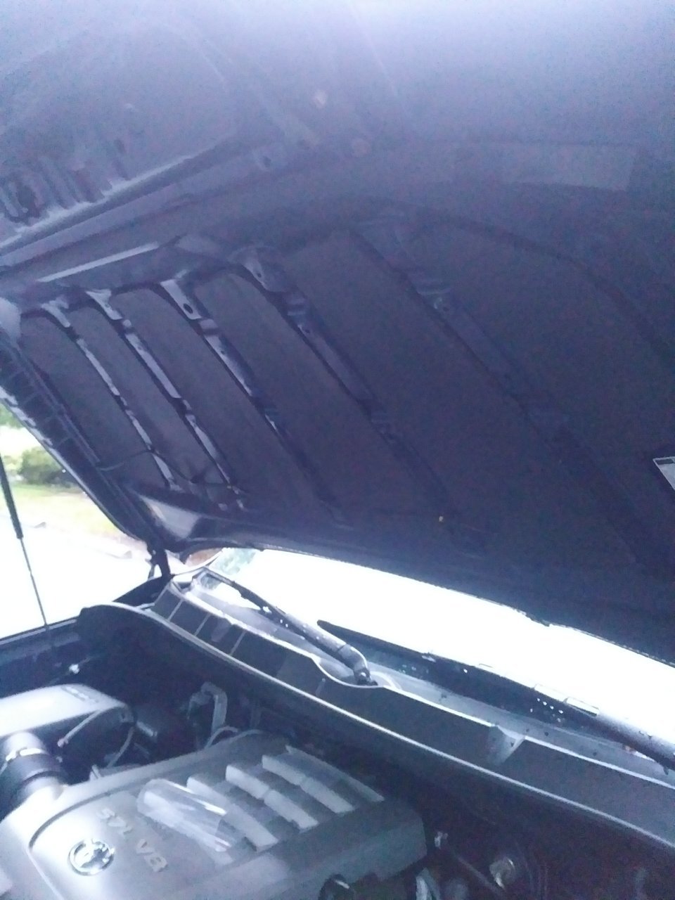 20190606_201044.jpg