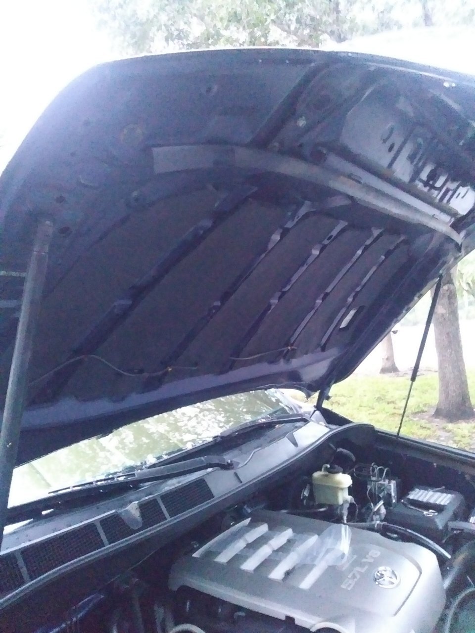 20190606_201052.jpg