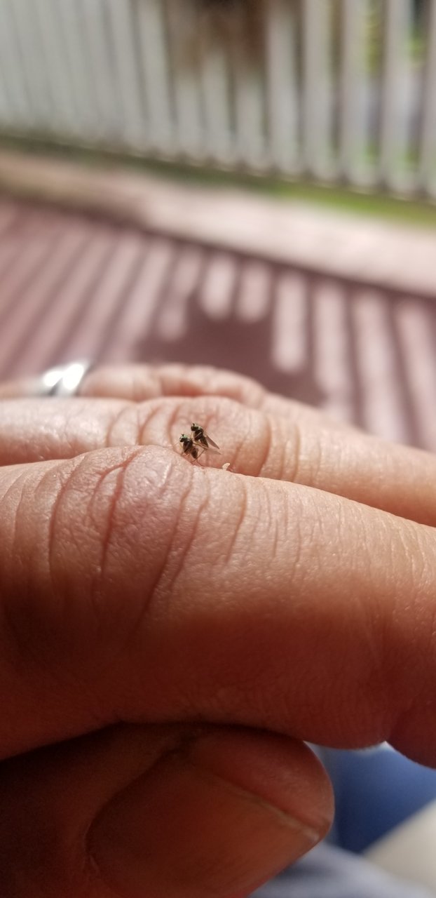 20190607_090337.jpg