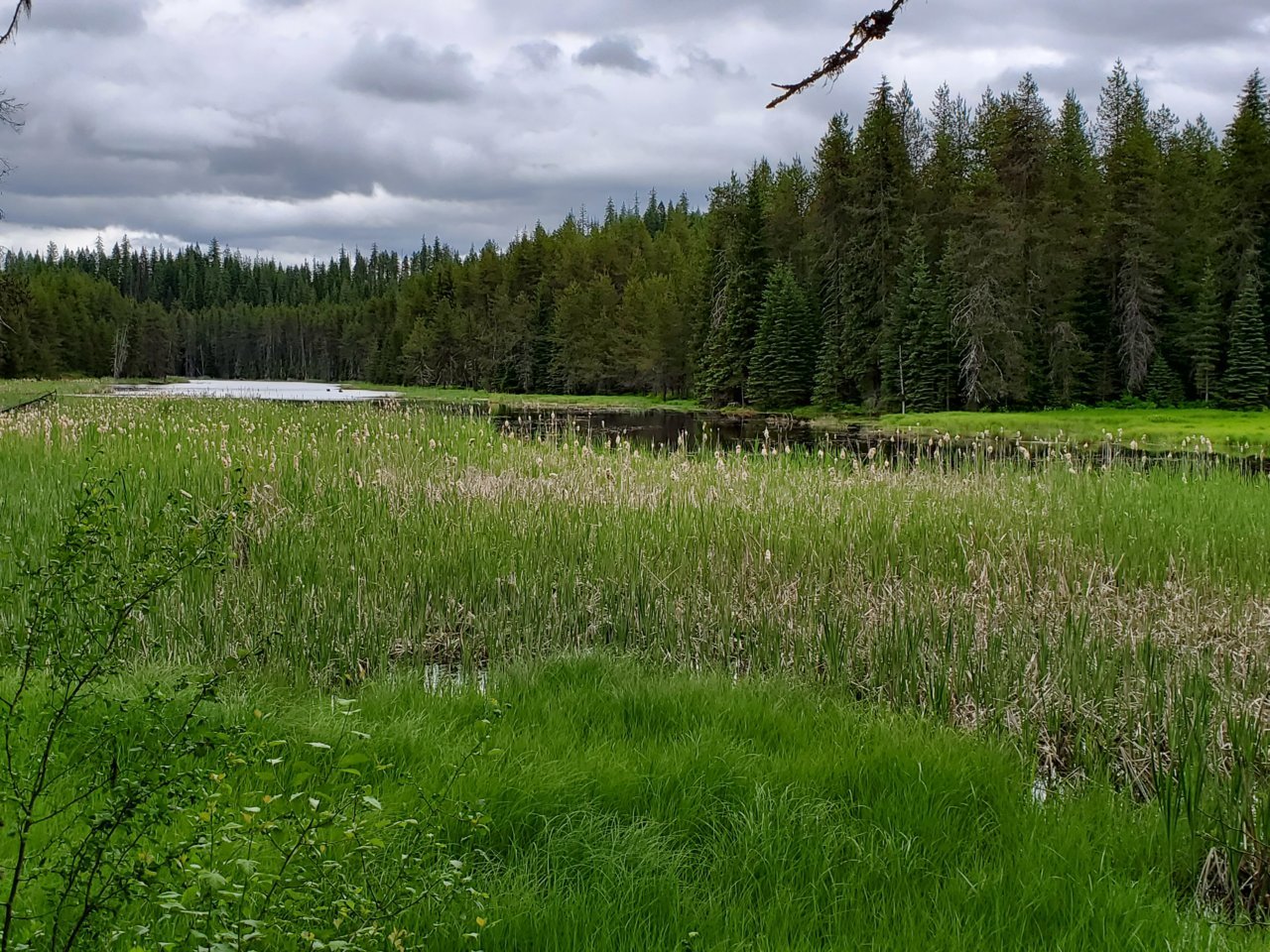 20190608_115652.jpg