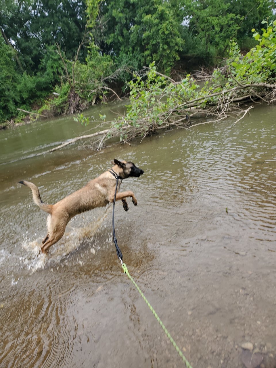 20190613_143421.jpg