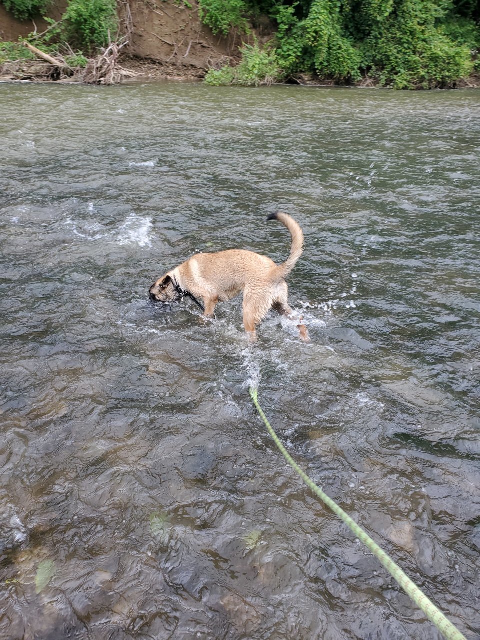20190613_143932.jpg
