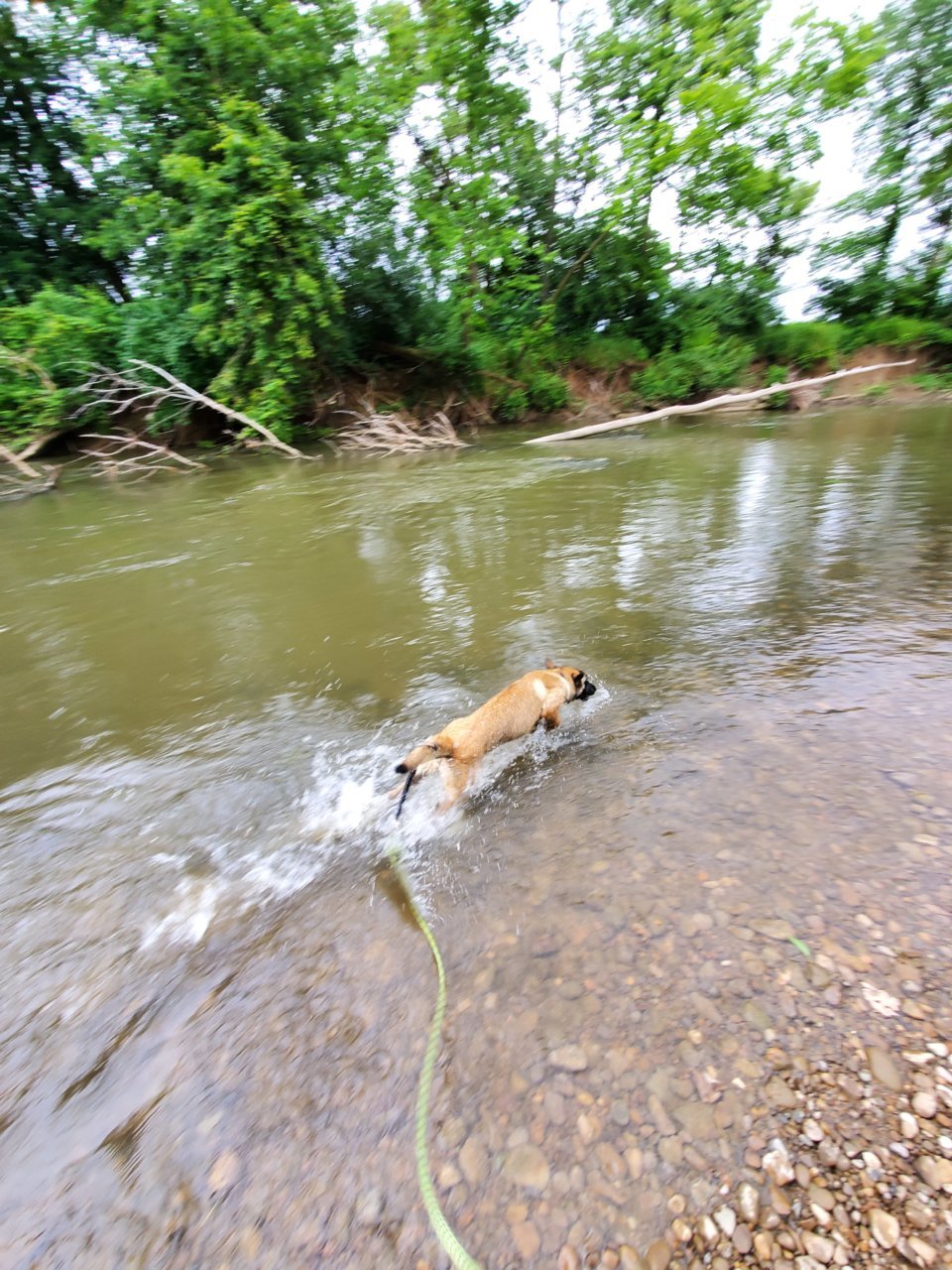 20190613_150446.jpg
