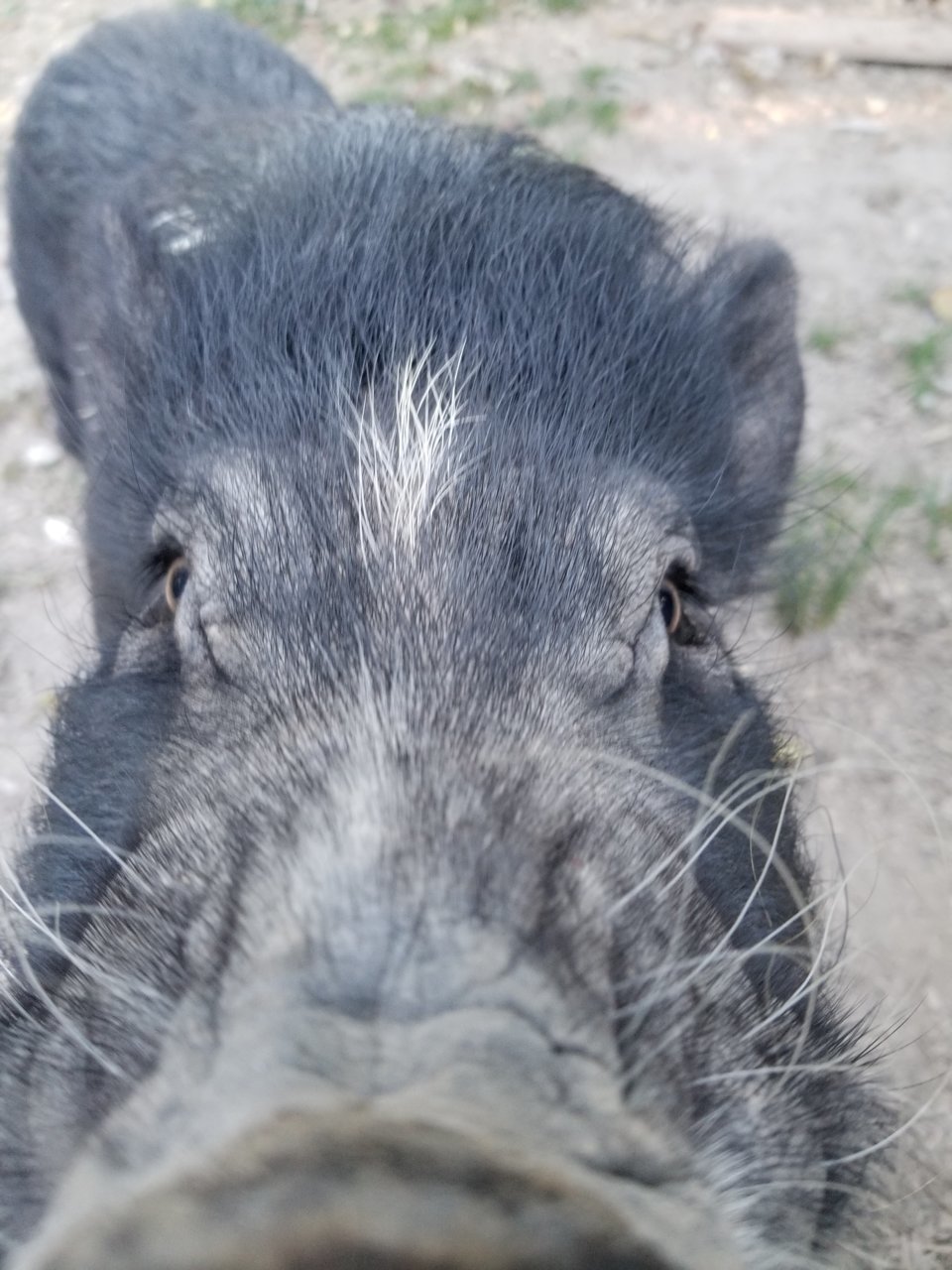 20190614_183848.jpg