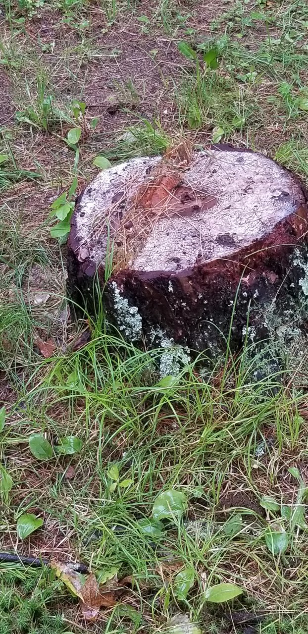 20190621_070759.jpg