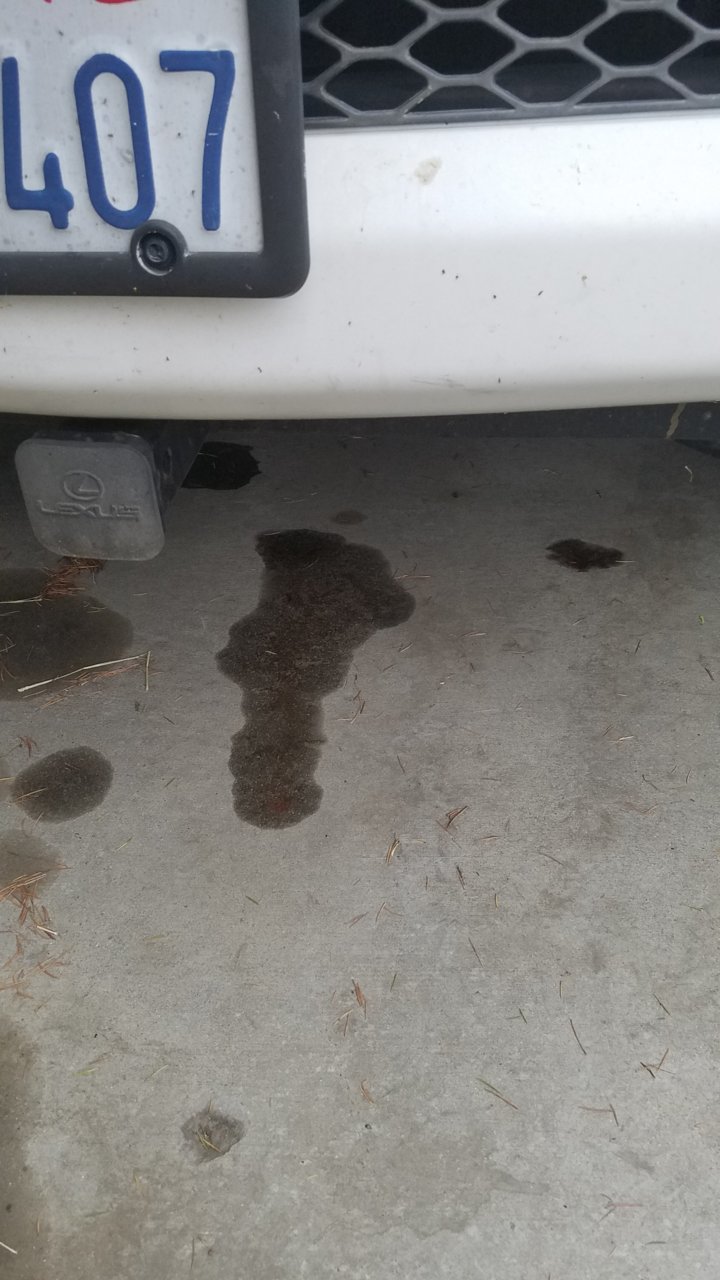20190621_183650.jpg