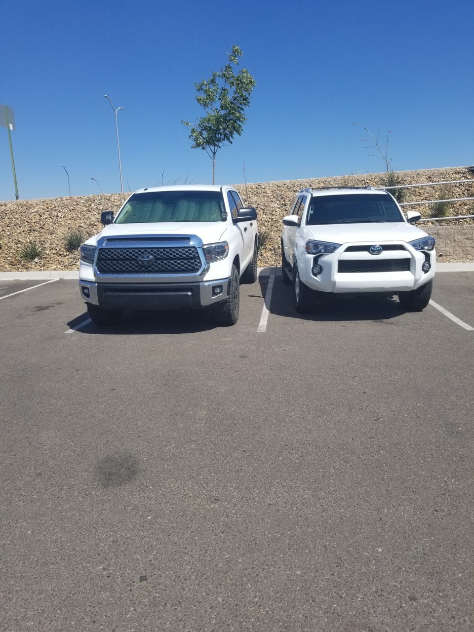 20190622_102915.jpg