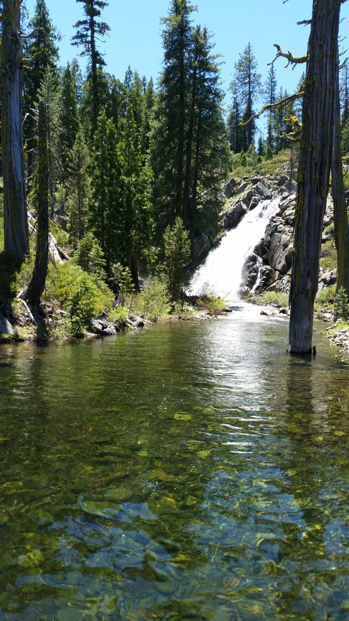 20190622_131558.jpg