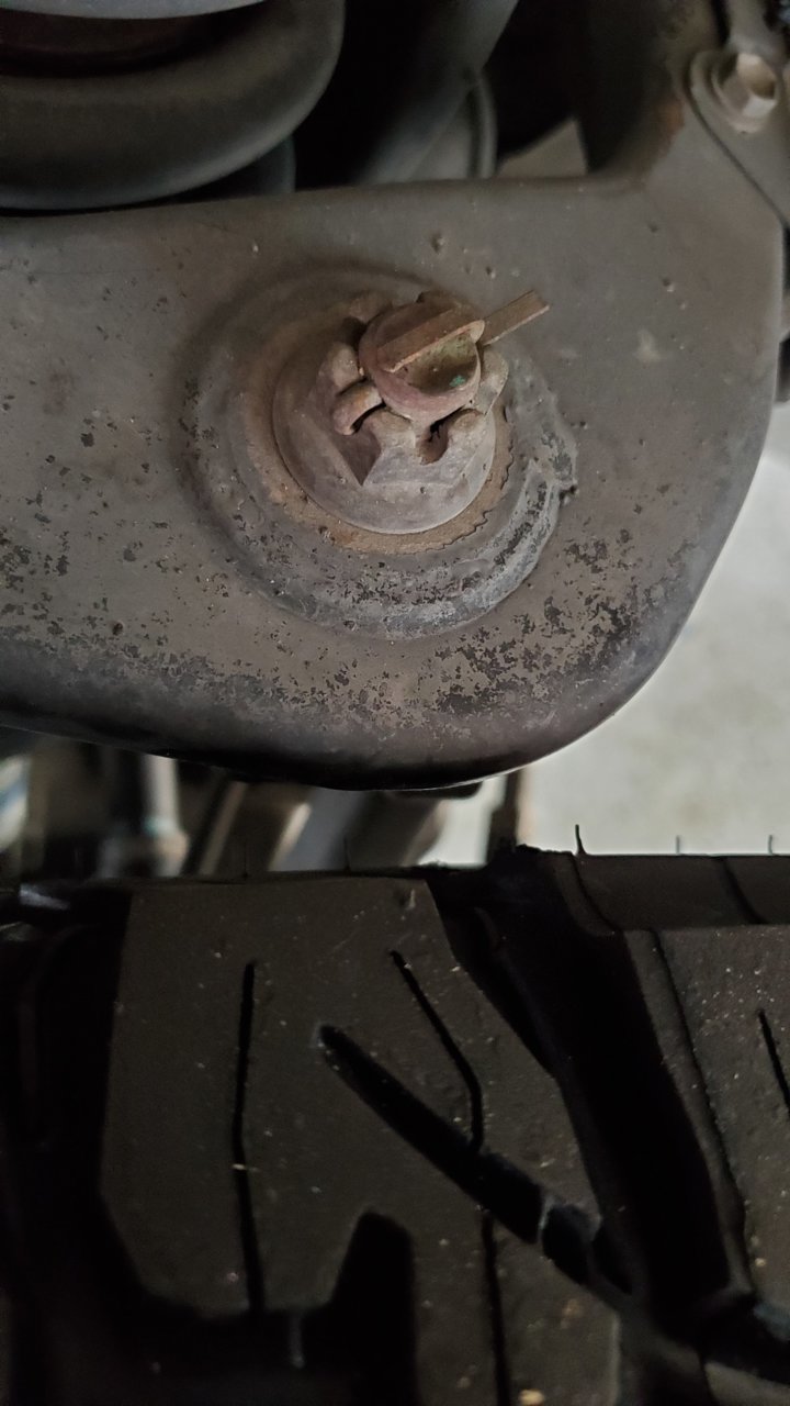 20190622_145418.jpg