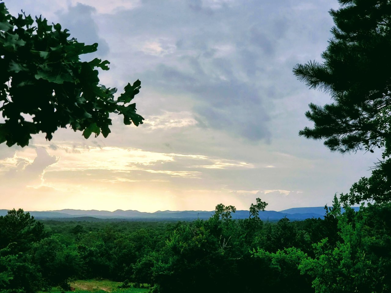 20190622_192831.jpg