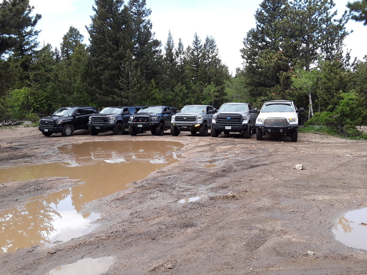 20190623_121736.jpg