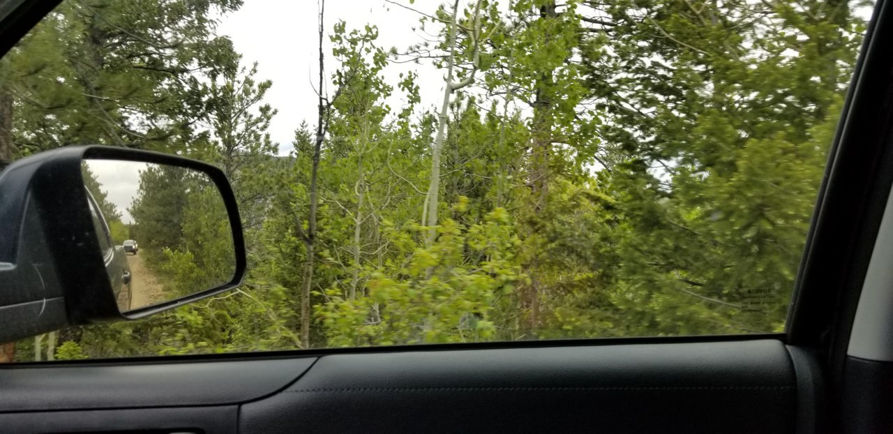 20190623_122731.jpg