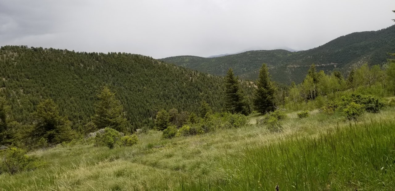 20190623_133446.jpg