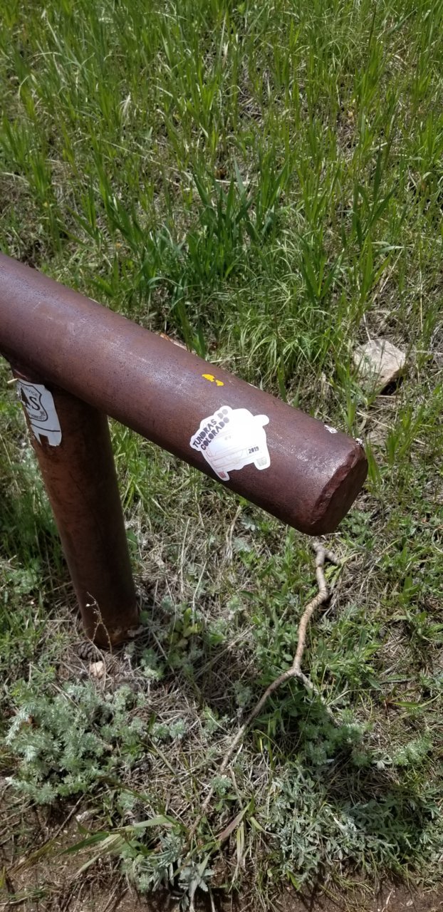 20190623_133800.jpg