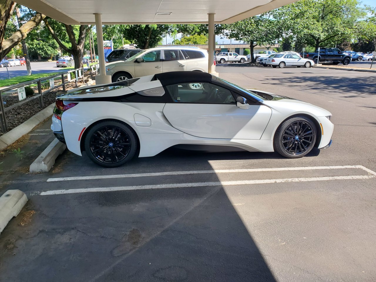 20190625_161429.jpg