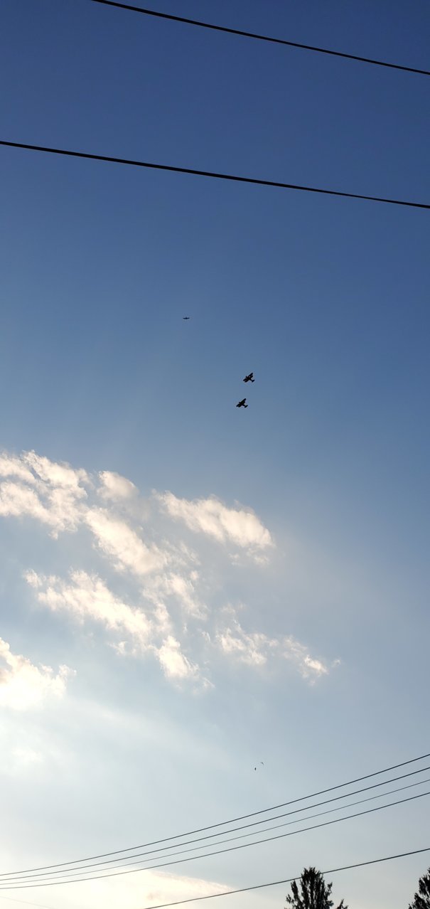 20190625_201008.jpg
