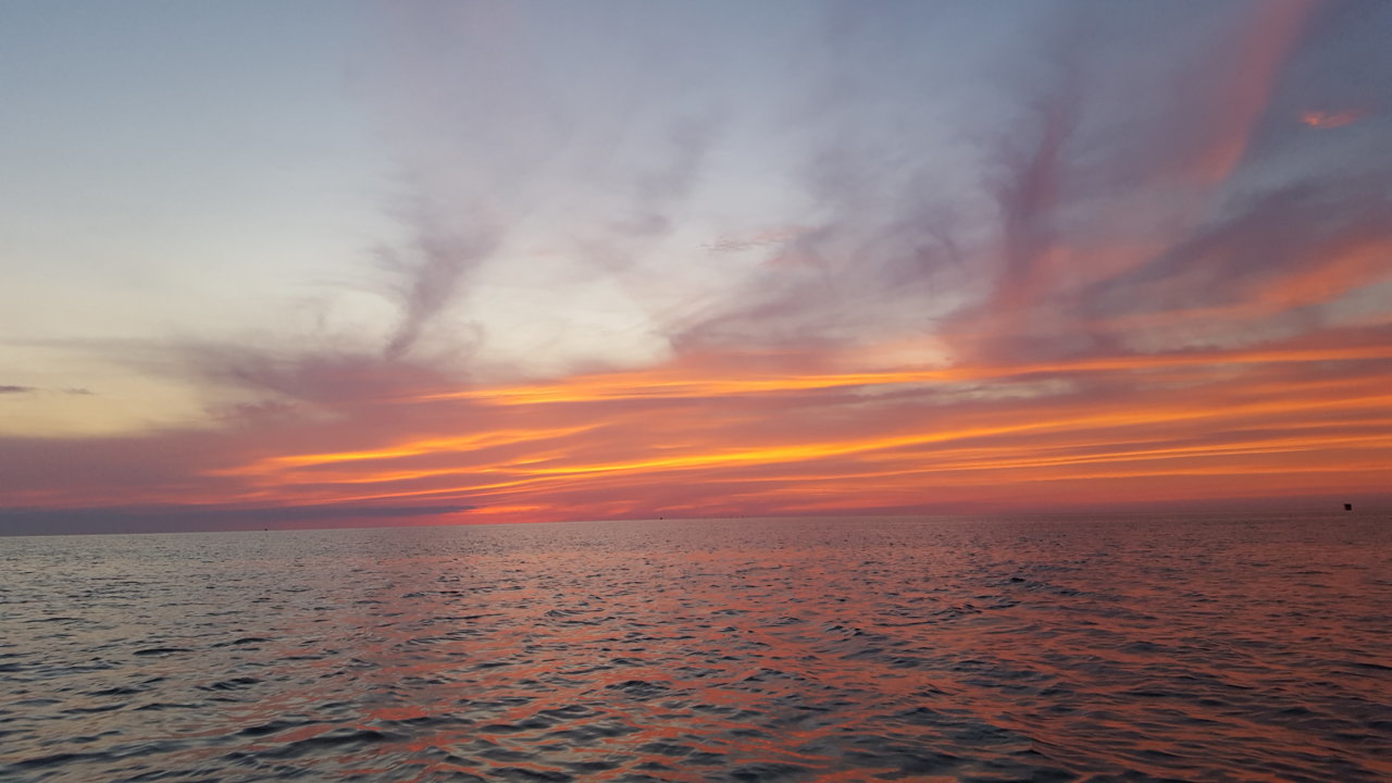 20190626_203117_001.jpg