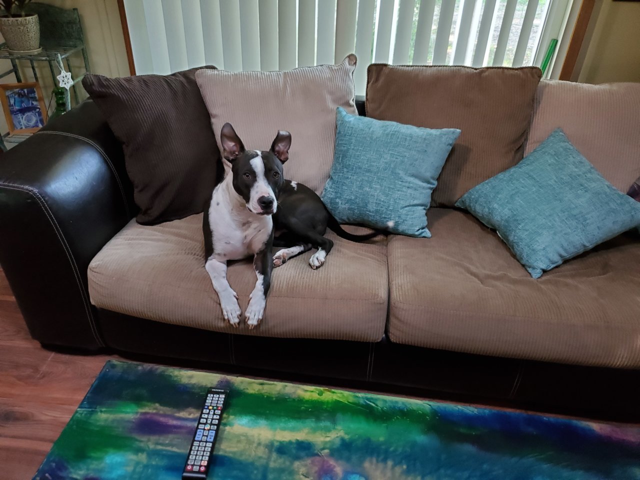 20190628_164741.jpg