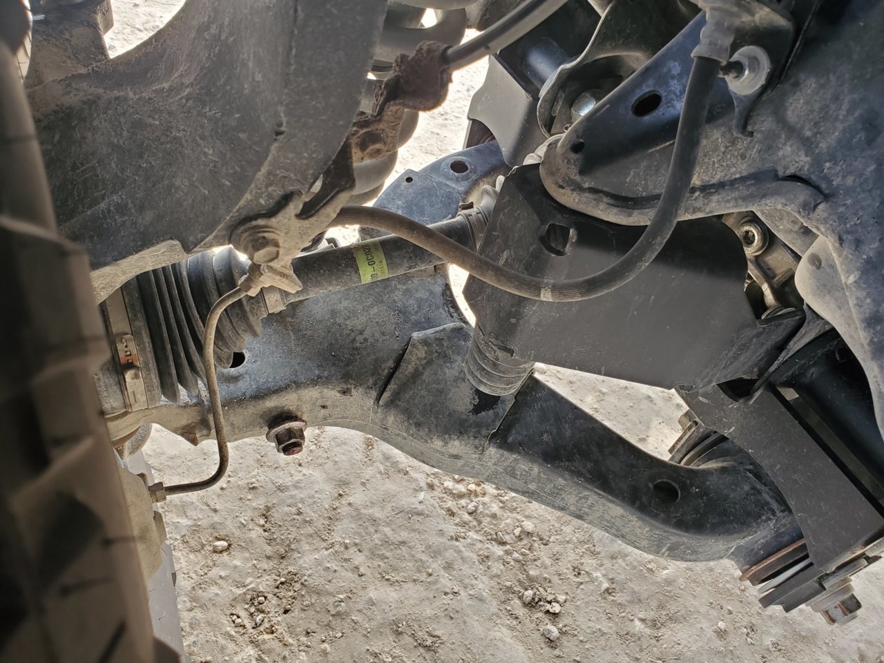 20190629_093147.jpg