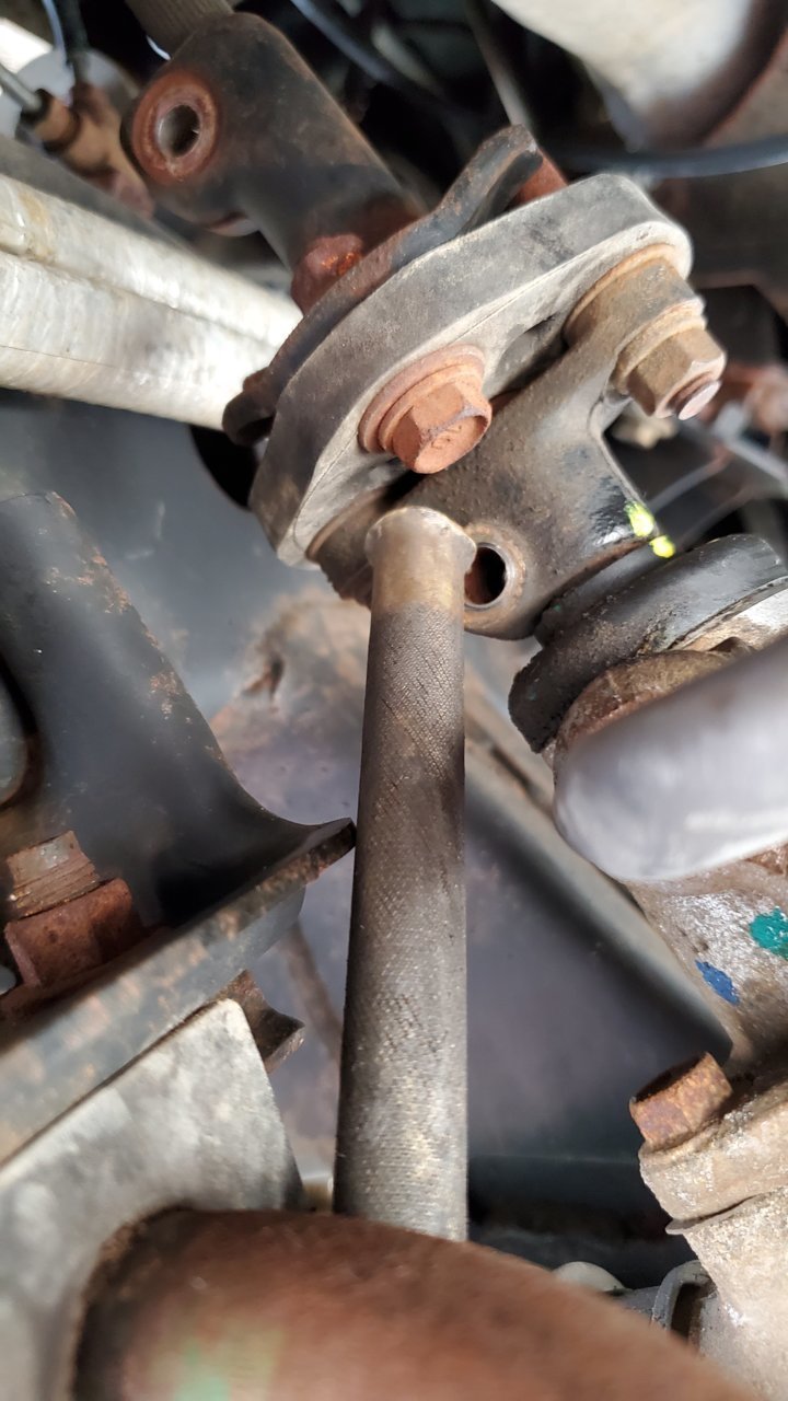 20190629_121113.jpg