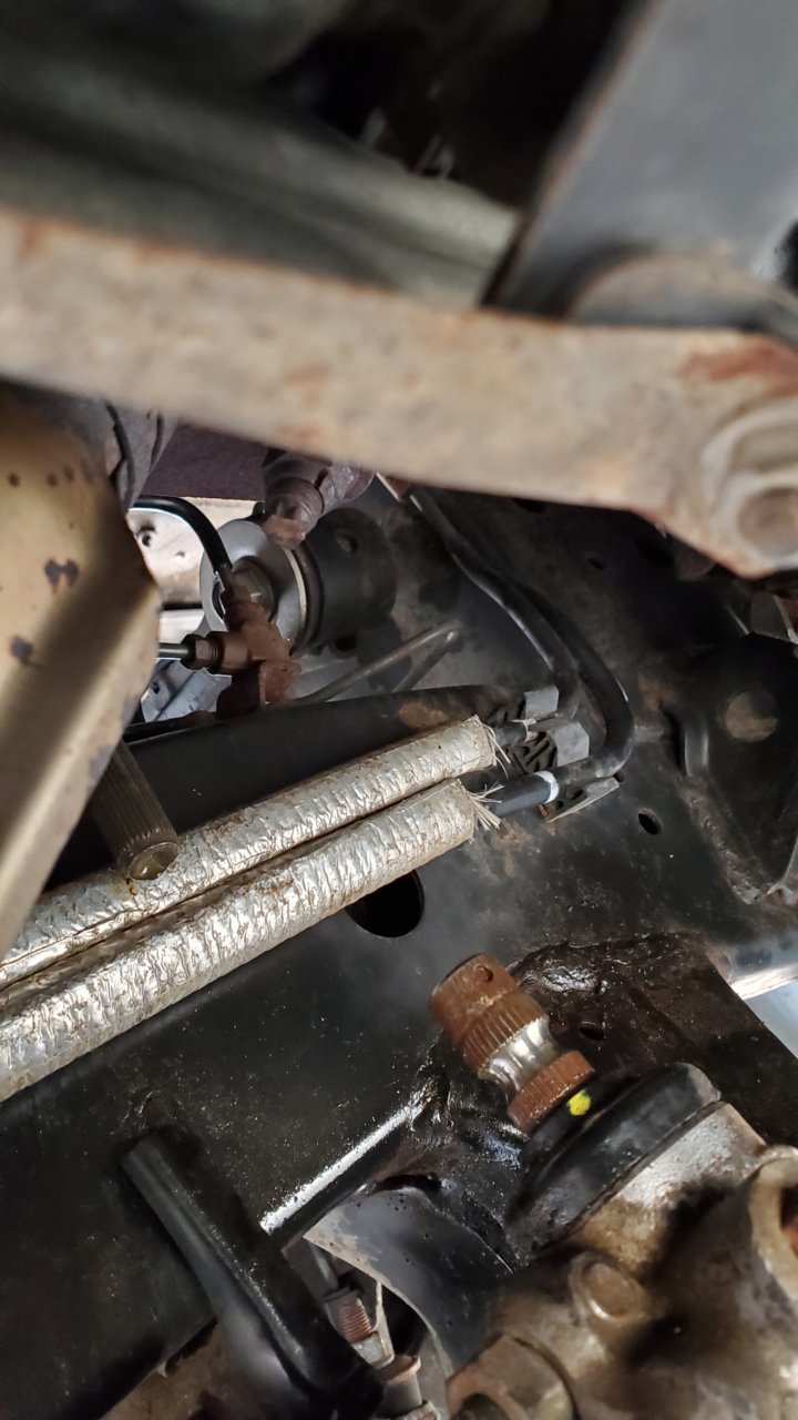20190629_124720.jpg